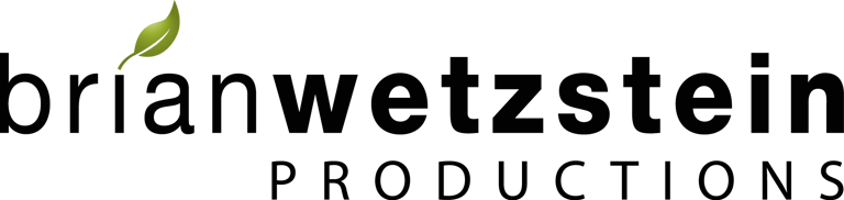 Brian Wetzstein logo