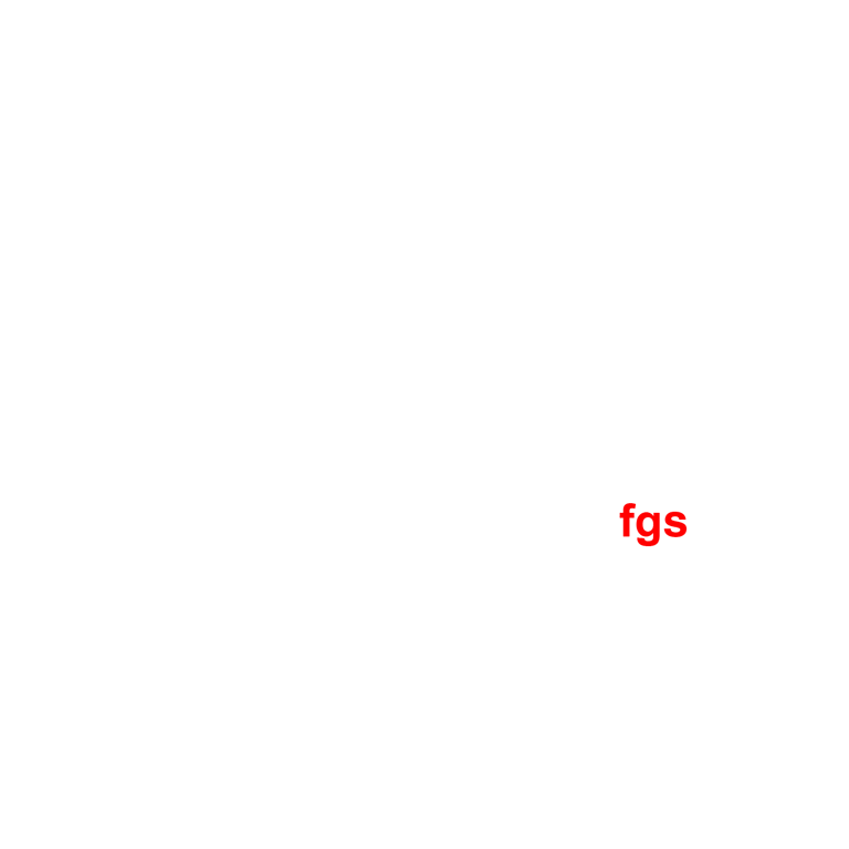 Francisco Gomes Santos, lda. logo