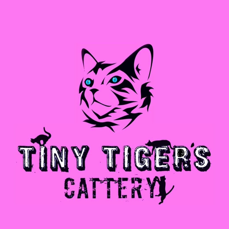 Tiny Tigers Cattery logo
