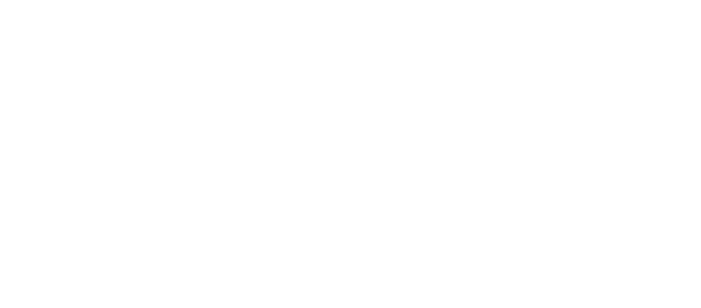 Peter Lazo Fotografia y video logo