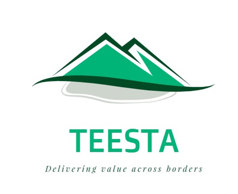 Teesta Global logo