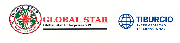TIBURCIO INTERMEDIACÃO INTERNACIONAL logo