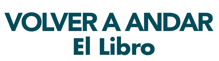 Volver a Andar logo