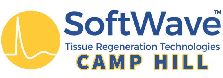Softwave Camp Hill logo