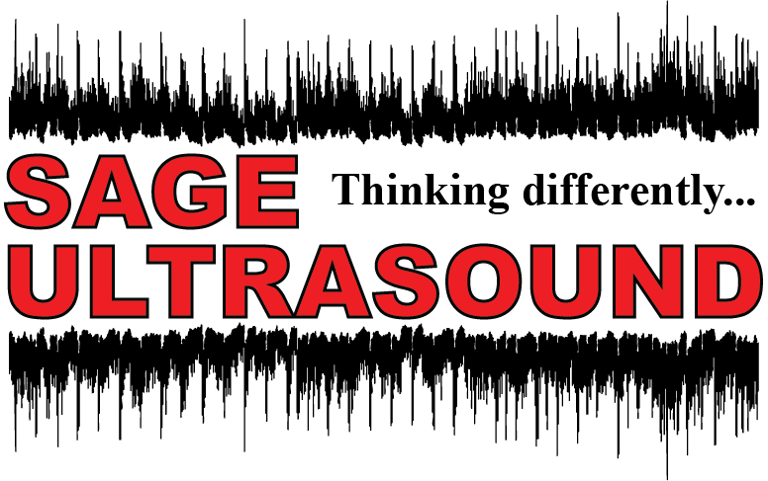 SAGE-US logo
