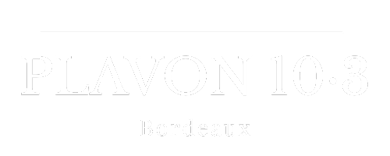 PLAVON 103 logo