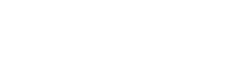 Noctua DesignLab logo