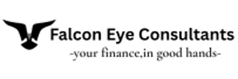 Falcon Eye logo