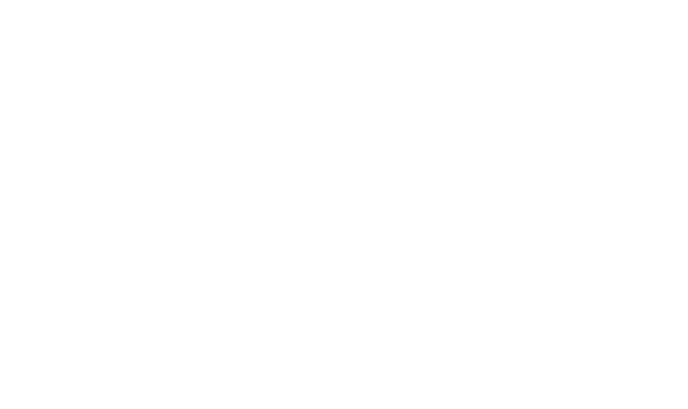 RSR Stump Removal LLC logo