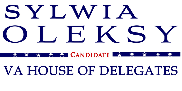 VA District 13 House Candidate logo