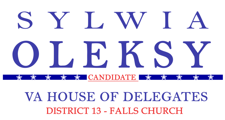 VA District 13 House Candidate logo