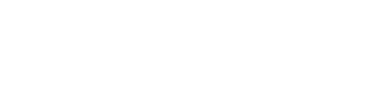 SURAXIS logo