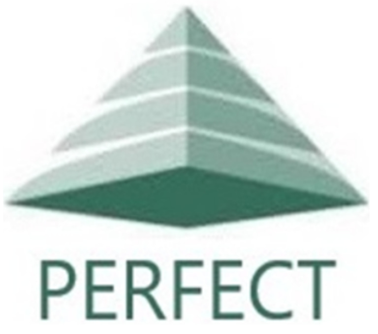 PERFECT ENGENHARIA ELÉTRICA logo