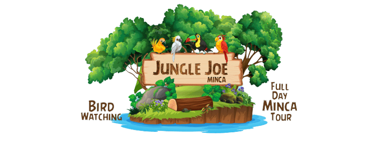 Jungle Joe Ecolodge logo