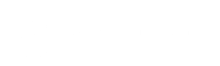 Instituto Investir logo