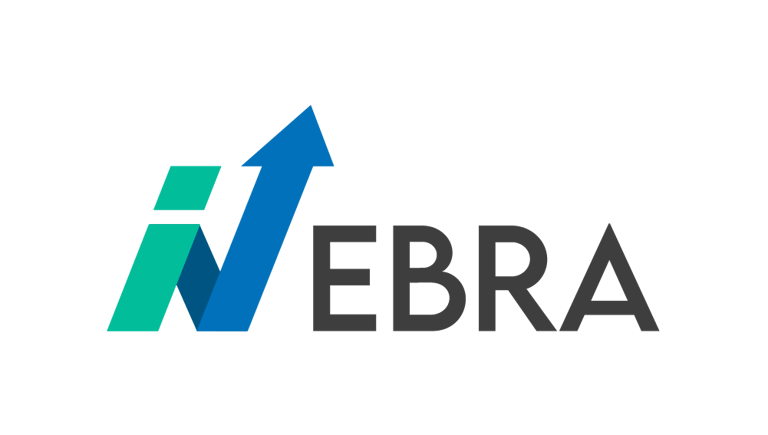 INEBRA logo