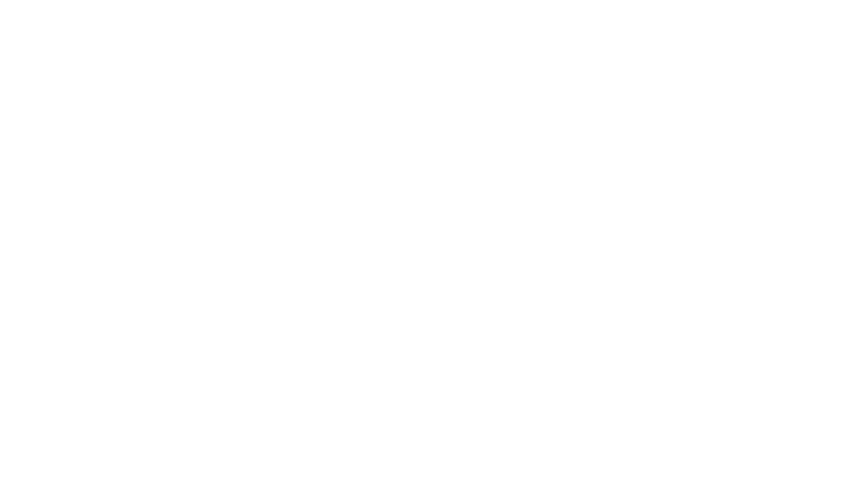 PlusCorp Business Setup Services FZE LLC logo