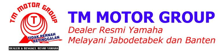 TM MOTOR GROUP logo
