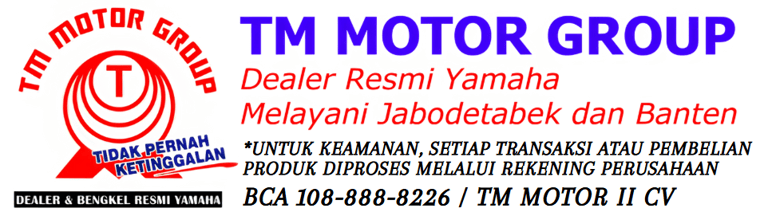 TM MOTOR GROUP logo