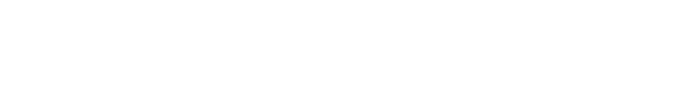 Nexus Energy Systems India logo