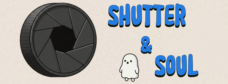 Shutter & Soul logo