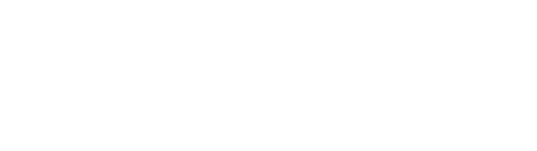 numoon logo