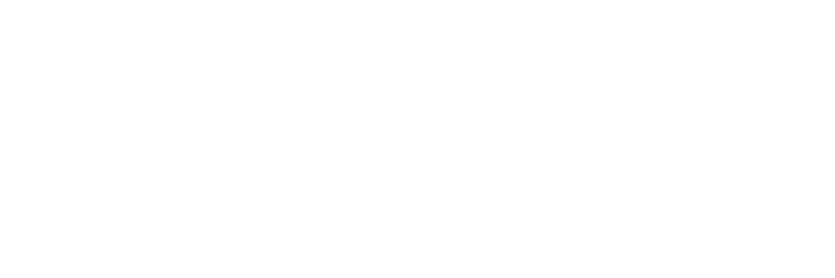 Strumently logo