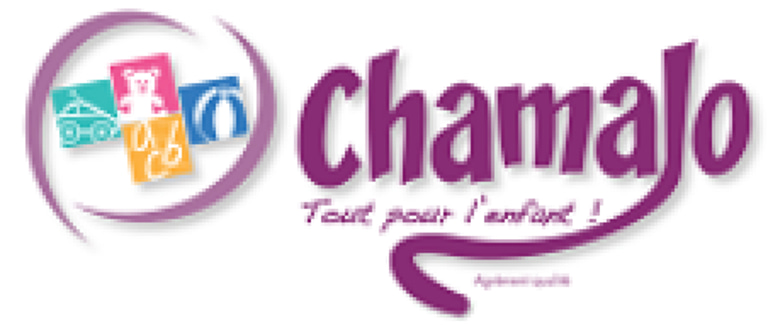 Go Toitures logo