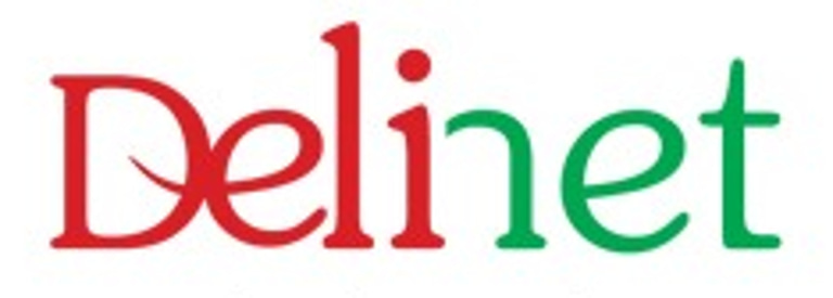 DELINET SERVICES logo