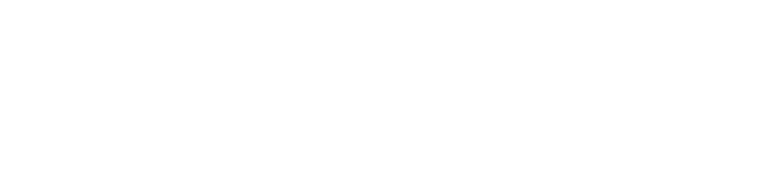 Lionsgate Network logo