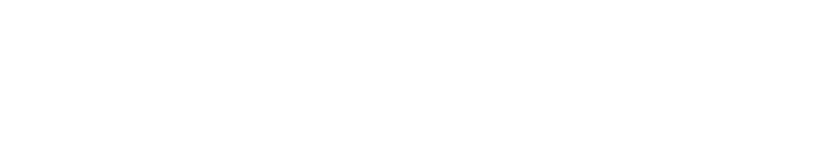 Nordfluence logo