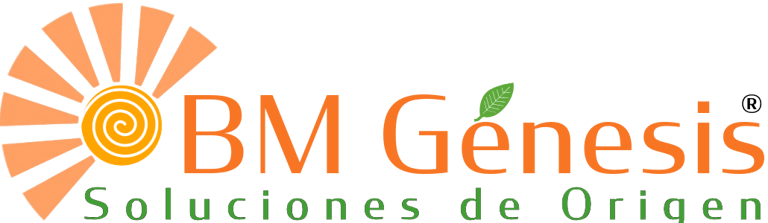 BM Génesis logo