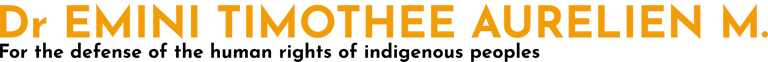 Dr EMINI Timothée logo