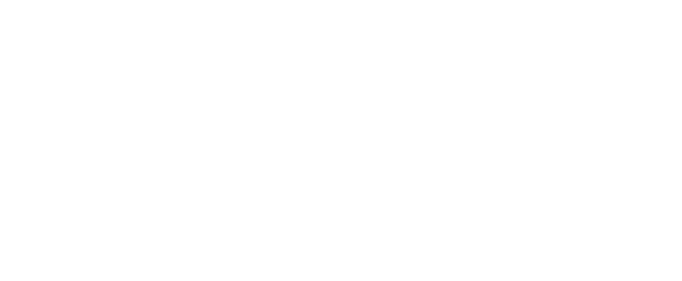 FSX24 logo