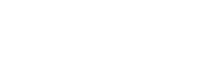 Spassible.com logo