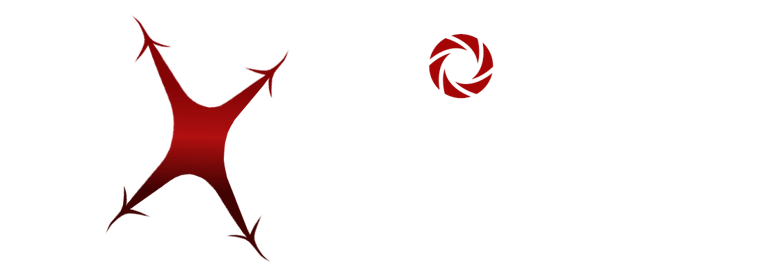 Drone Experience logo