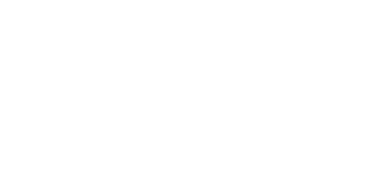 Smart Leads logo
