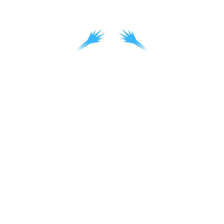 Restoration Pressure Washing logo