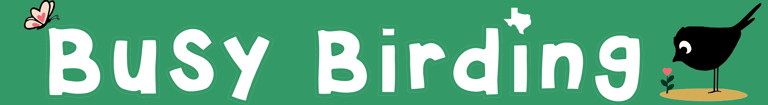 Busy Birding logo