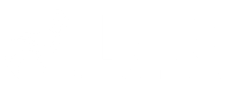 Like9 Soluctions logo