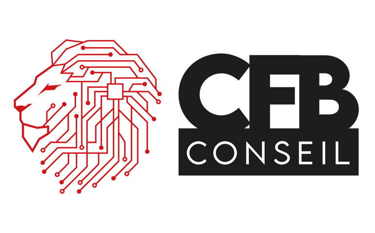 CFB Conseil logo