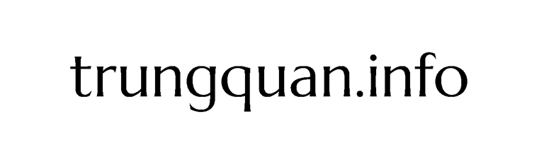 trungquan.info logo