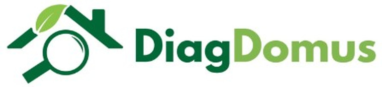 DiagDomus logo
