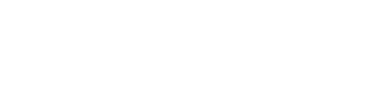 Genius Tyres logo