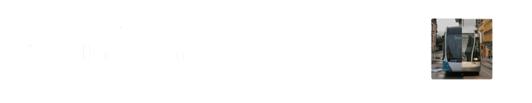 Le Traminot Nancéien logo