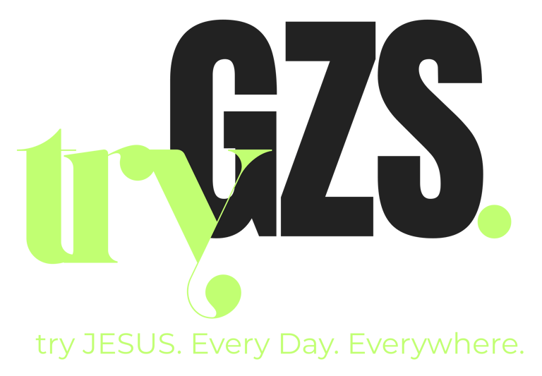 tryGZS. logo