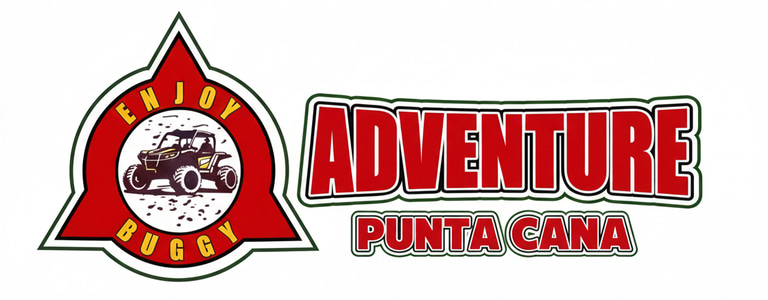 Enjoy Buggies Tours logo