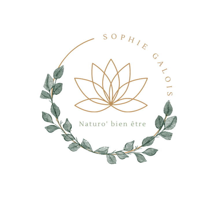 Sophie Galois Naturo'Bien Être logo