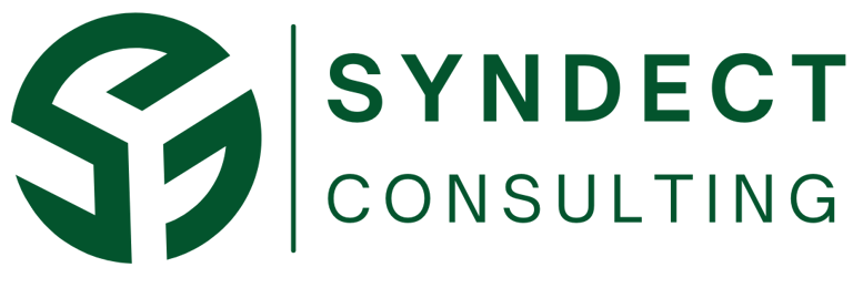 Syndect Consulting  logo