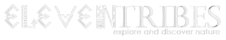 ElevenTribes Outdoor Products and Trading logo
